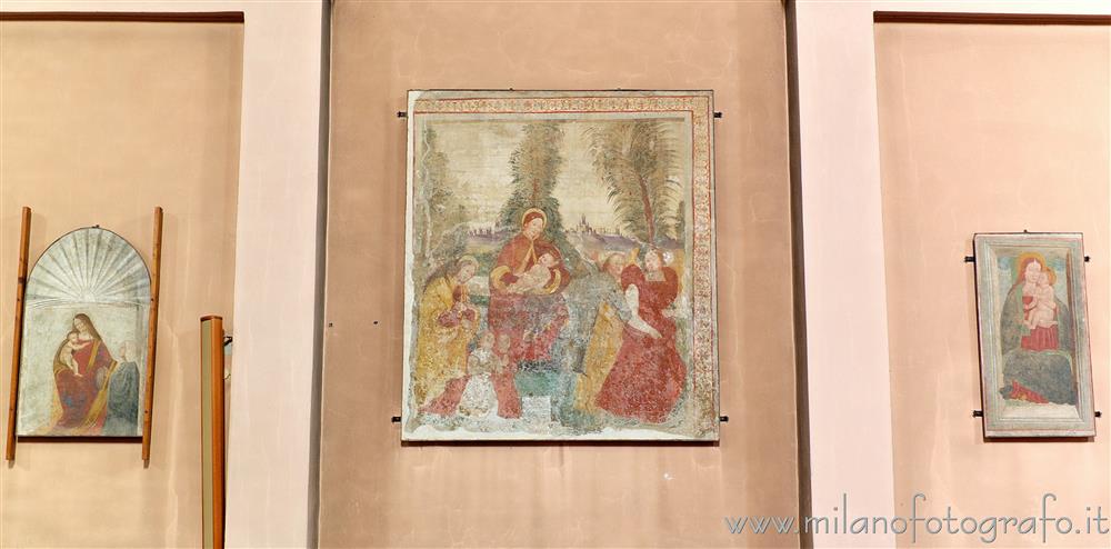 Cavenago di Brianza (Monza e Brianza, Italy) - Detached frescoes feom the Church of Santa Maria in Campo